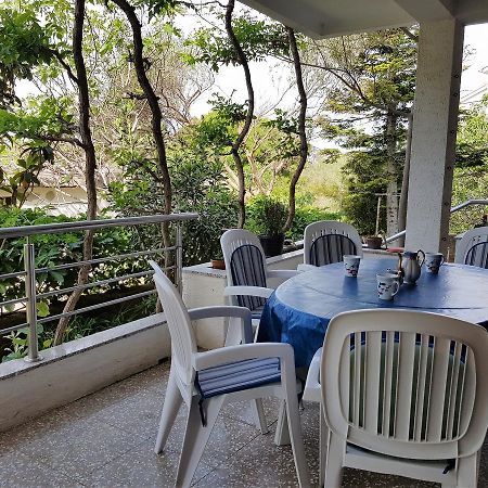 Apartments Monica נובליה מראה חיצוני תמונה
